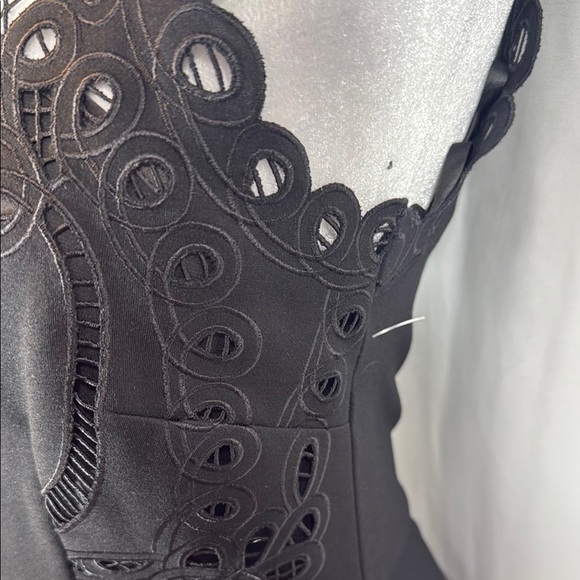 Ted Baker Black Eyelet Lace Halter A-Line Dress Exposed Zip NWOT Sz US 6 (Ted 2) - Picture 7 of 12